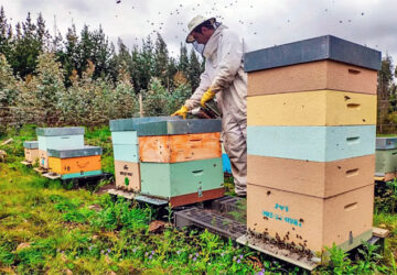 apicultores-360x250.jpg