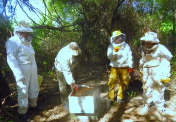 apicultores-360x250.jpg