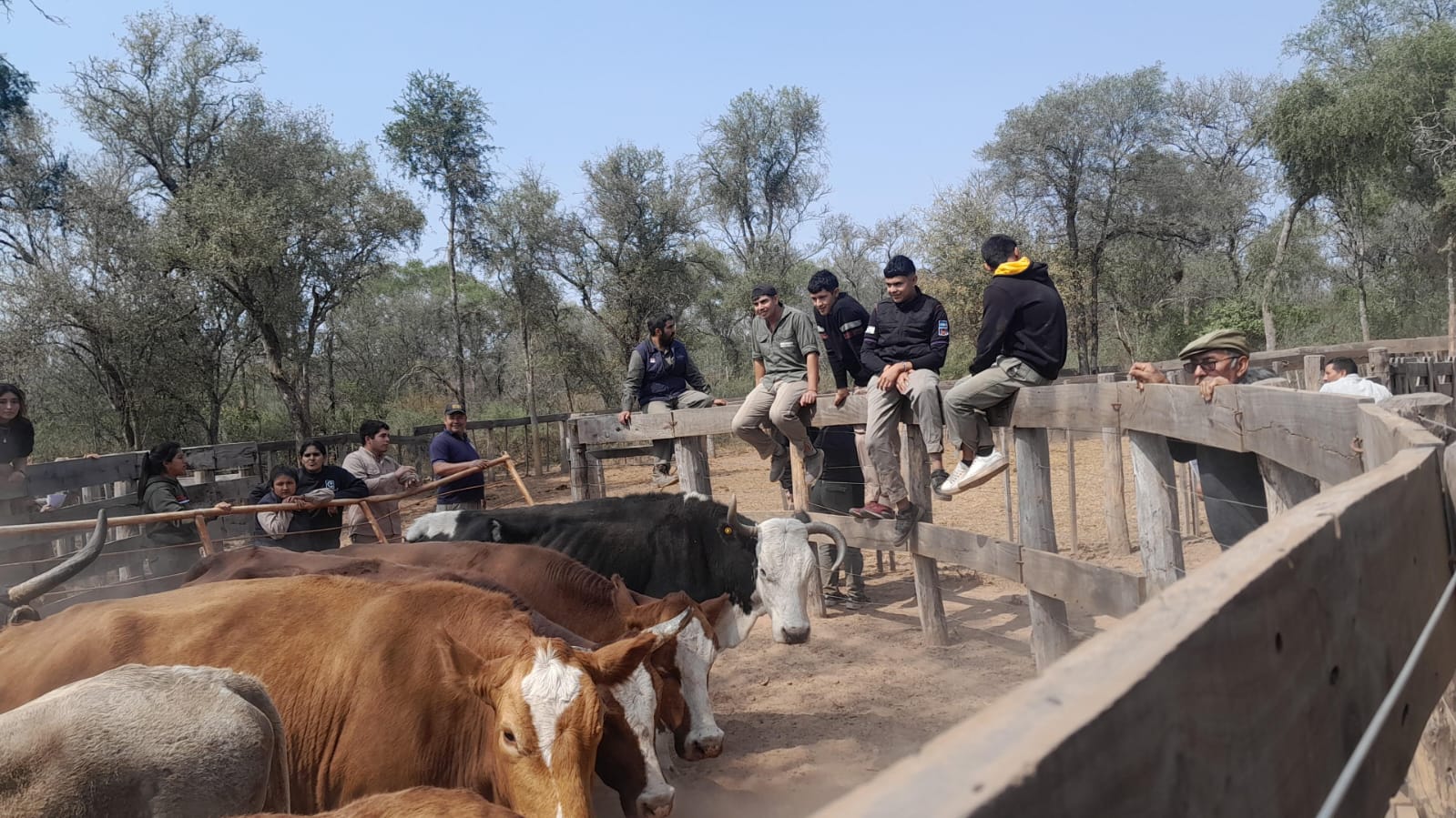 Exitosa jornada sobre producción bovina para estudiantes de Los Pirpintos