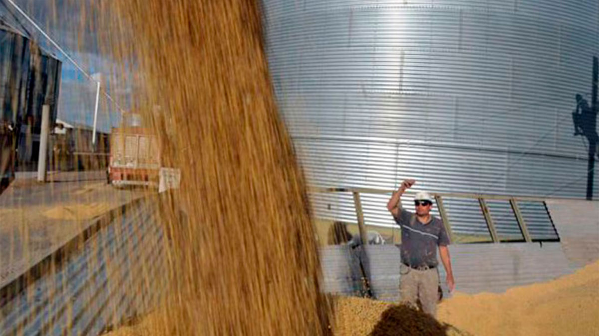 Las exportaciones de harina de soja en Argentina repuntan un 45% y alcanzarían 27,7 millones de toneladas