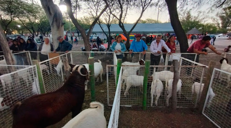 Últimos preparativos para la Expo Rural Sumampa 2024: una celebración de integración y desarrollo
