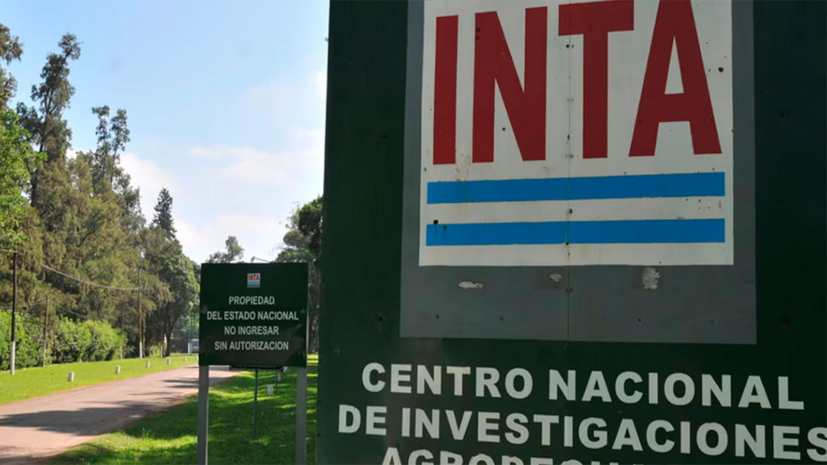 La Casa Rosada pone en marcha la reforma del INTA y revisa 70.000 hectáreas en desuso para poner a la venta