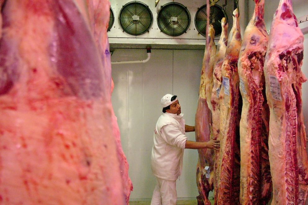 Las exportaciones de carne alcanzaron un récord histórico, mientras el consumo interno sigue disminuyendo