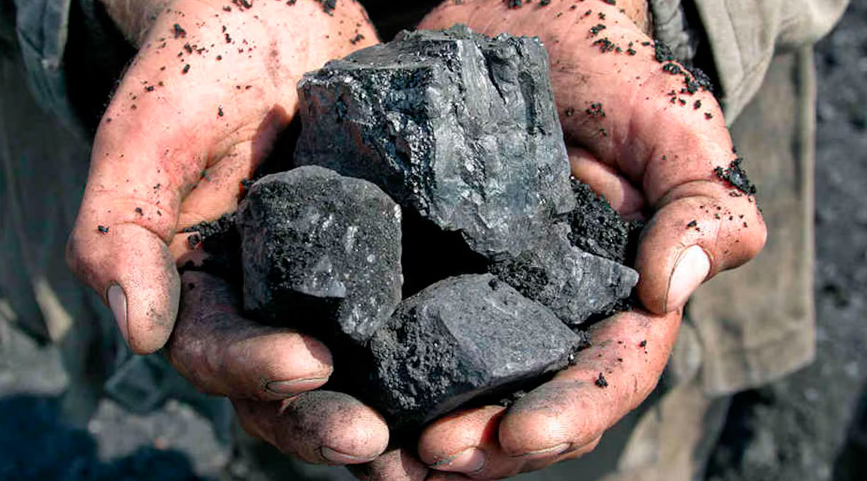 Invitan al encuentro “hacia una producción carbonera sustentable”