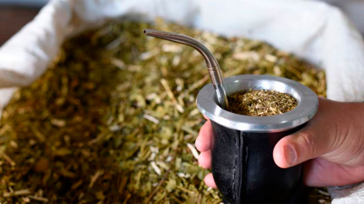 Por la caída del poder adquisitivo, el consumo interno de yerba mate se desplomó un 10% en lo que va del año