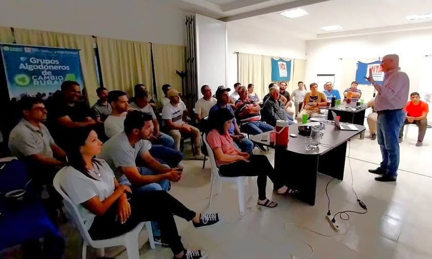 Prevención y manejo de la Lagarta Rosada en algodón: resultados de una jornada técnica