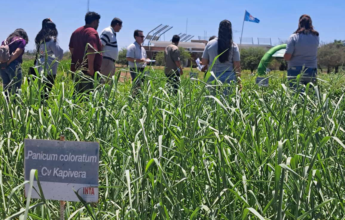 INTA Quimilí y Agroempresa Semillas se unen para impulsar la ganadería en el chaco semiárido