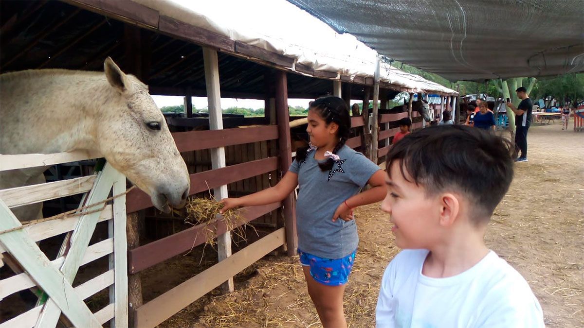 La granja “Estilo Campo” reabre sus puertas en La Abrita