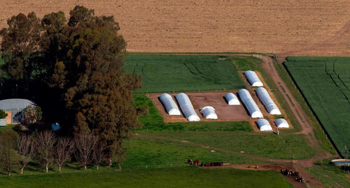 El Estado capta más renta agrícola: 64,3%, un 2,8% más que en septiembre