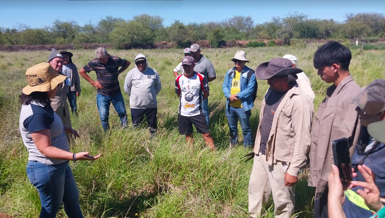 Pequeños productores de Atamisqui y Loreto reciben capacitación para mejorar sus pasturas