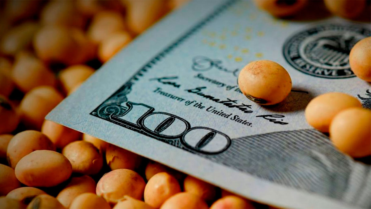 Pese al rebote del CCL, la soja se mantuvo en los $290 mil en Argentina y sigue perdiendo valor en dólares