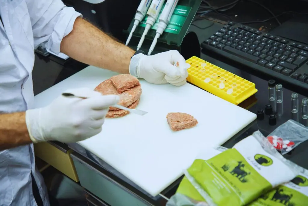Búfalo, una carne alternativa de alto valor nutricional