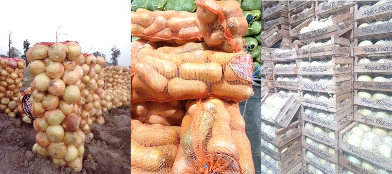 Cultivos en Santiago del Estero: evaluación de la campaña frutihortícola y ¿cuáles son los planes a futuro?