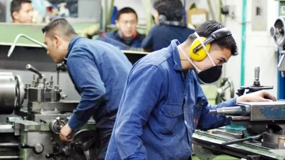 Leve recuperación del empleo privado registrado a fines de 2024
