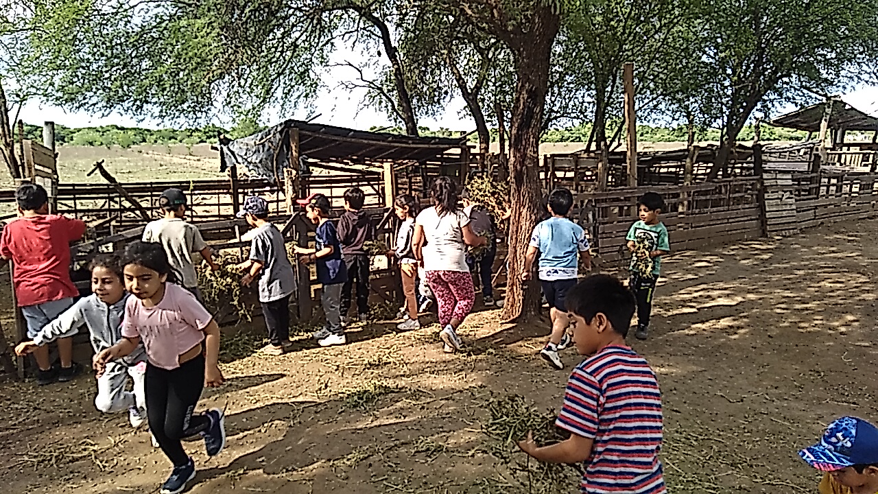 Récord Guinness: Granja santiagueña quiere hacer la tortilla a la parrilla más grande del mundo