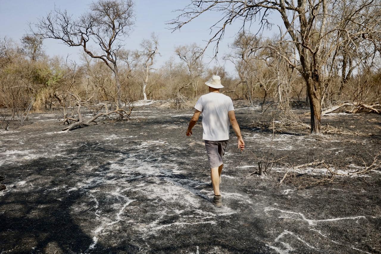 ¡A reforestar! Plantarán 300 algarrobos en una reserva que sufrió voraz  incendio