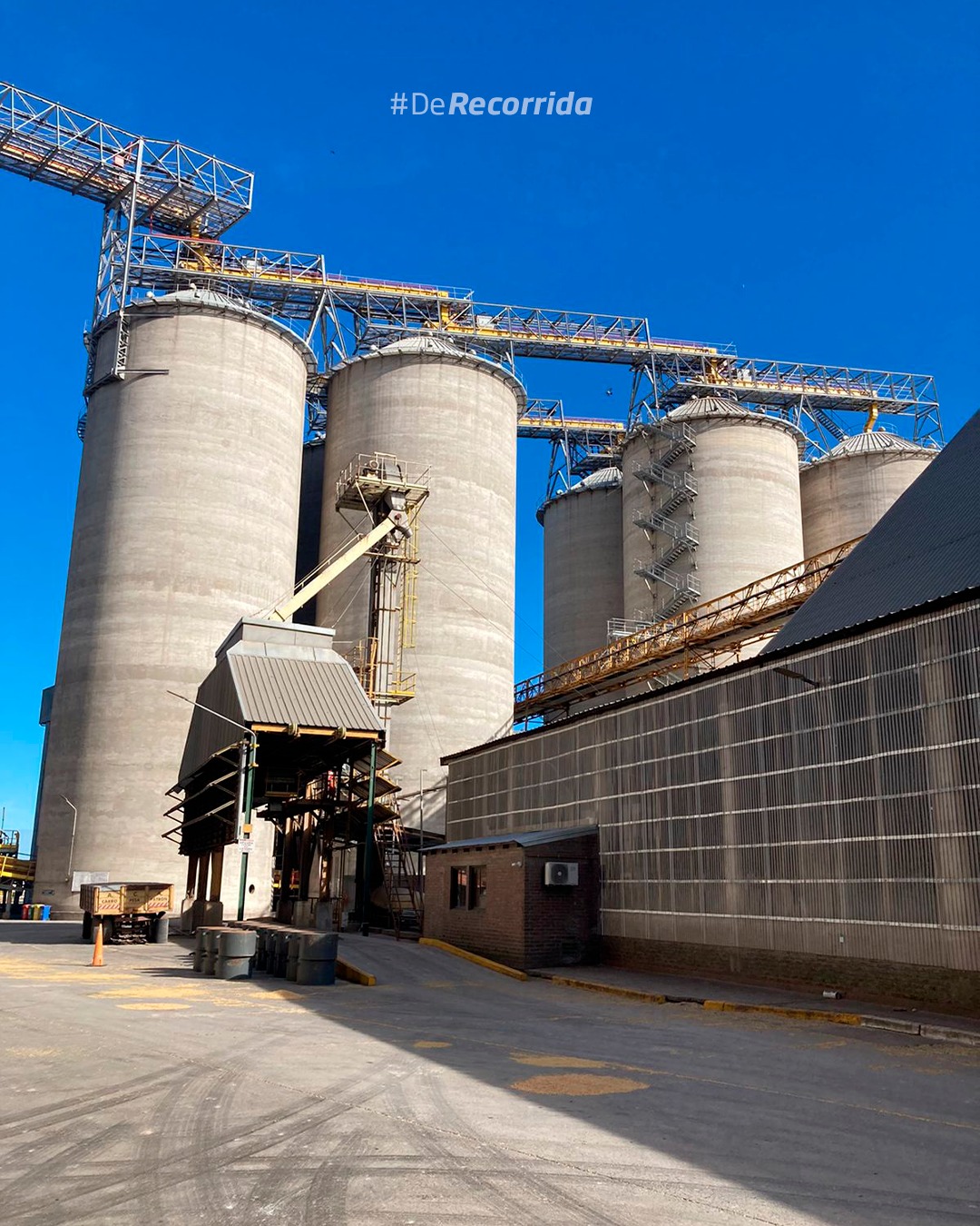 De mal en peor: El default del agro supera los u$s1.000 millones