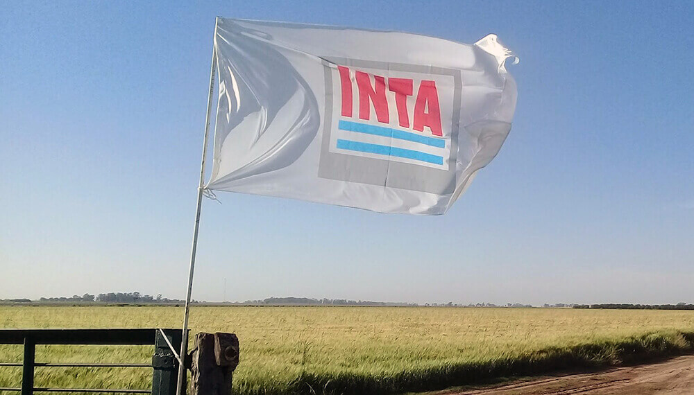 INTA: Aprueban proyecto de reestructuración interno para evitar un ajuste salvaje
