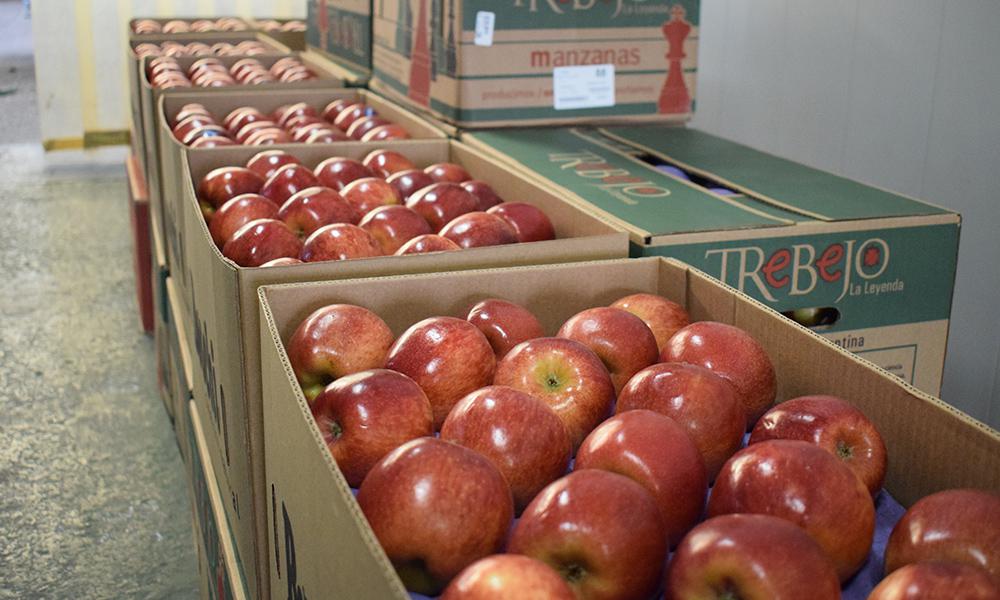 Frutas desreguladas: “Se exportará lo que demande el mercado”