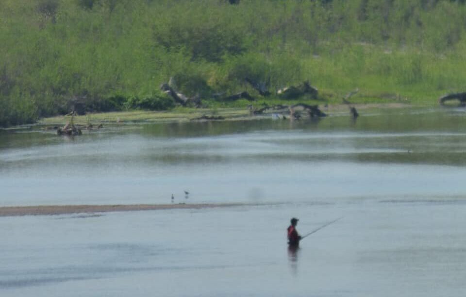 Finalizó la veda de pesca en la provincia