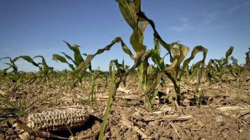 En enero la sequía se extendió a 20 millones de hectáreas
