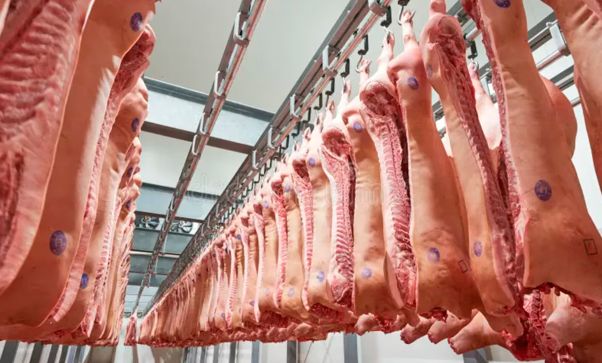 Argentina abrió el mercado de Paraguay para carne porcina