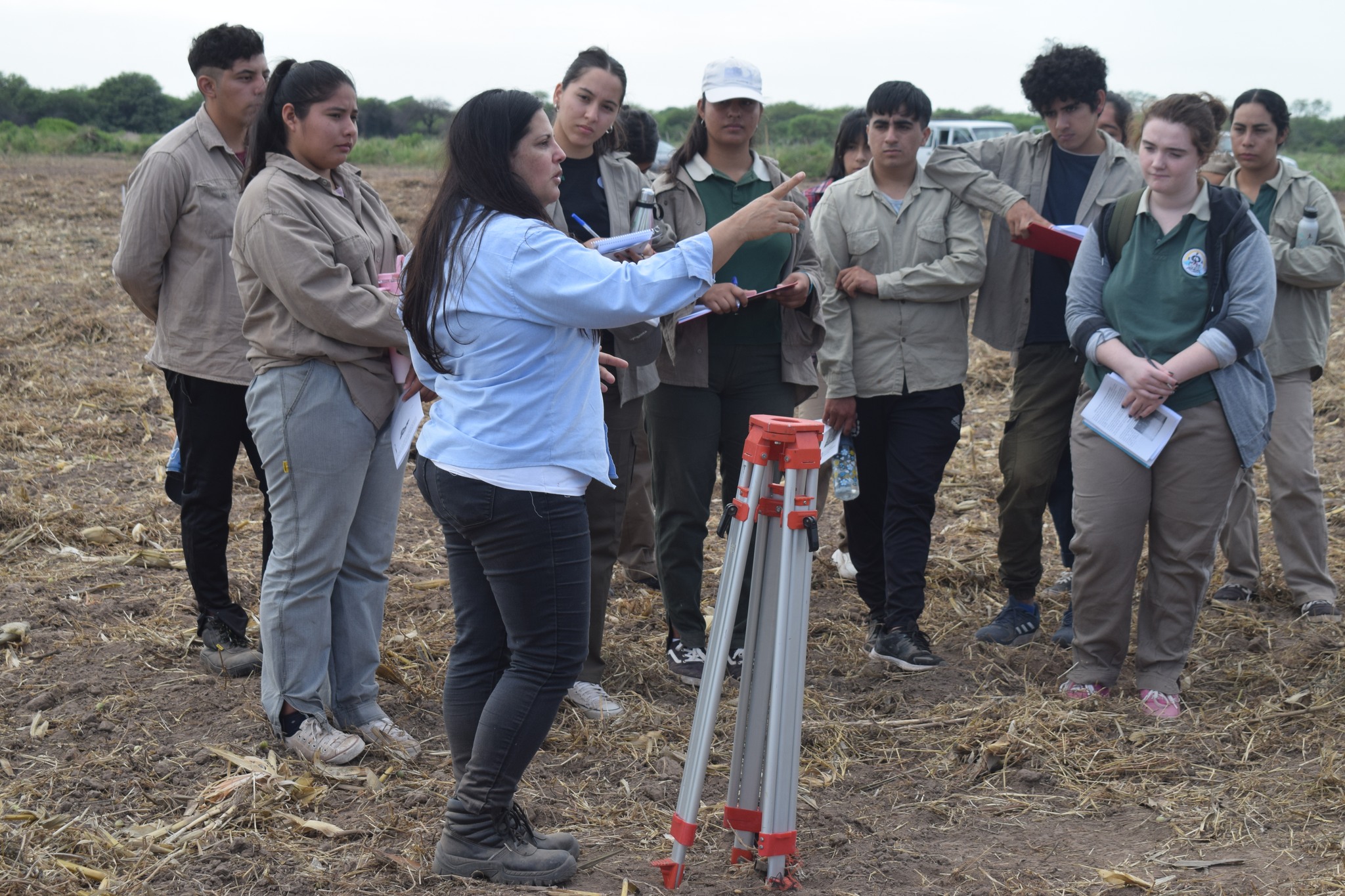 Importantes avances en el clúster provincial de producción de semilla de alfalfa