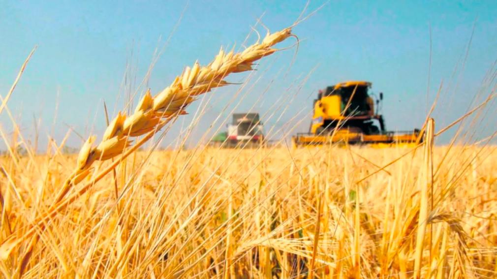 El Gobierno prorrogó la baja de retenciones para trigo y cebada, pero excluyó a la soja y el maíz