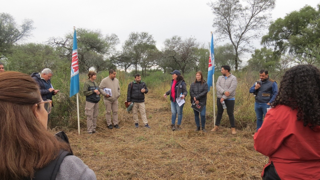 Presentan resultados de la restauración de un ecosistema arbustificado con fines ganaderos