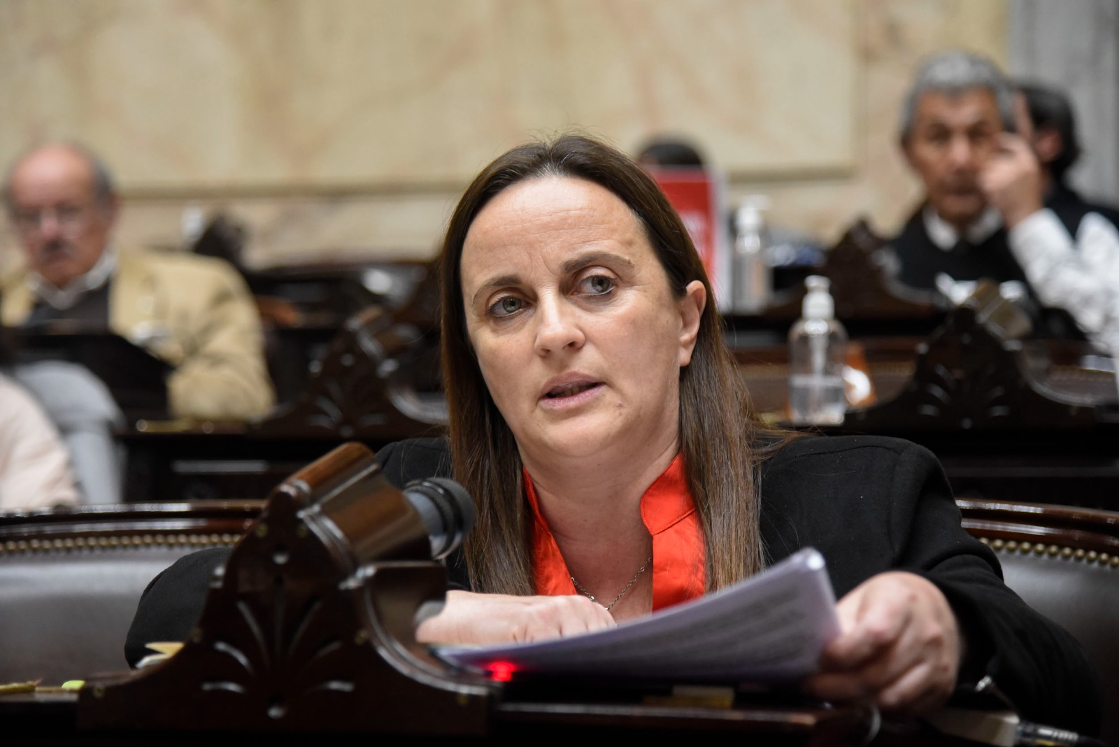 Desregulación del transporte marítimo: fuerte rechazo de la oposición por “riesgo de desempleo y desinversión”
