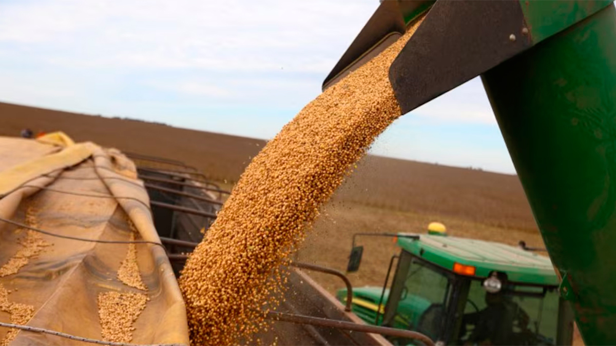 La suba de retenciones al campo en julio hará caer 12% la rentabilidad del agro, según un estudio privado