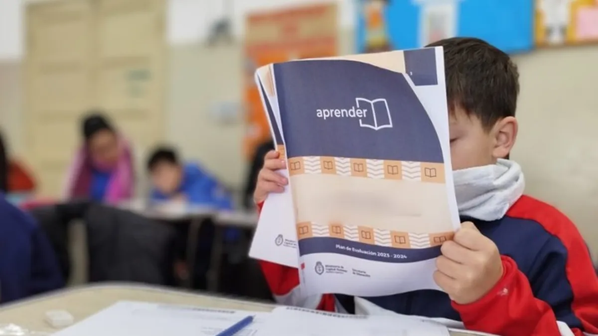 Pruebas Aprender en Santiago: el 47% de los alumnos de 3° grado alcanzó los niveles de lectura