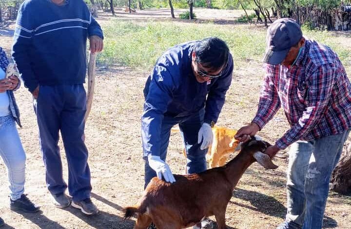 Los productores caprinos se capacitan