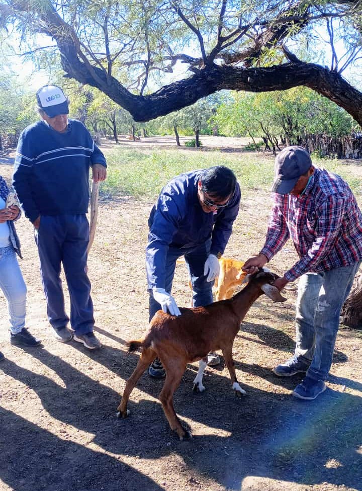 Los productores caprinos se capacitan