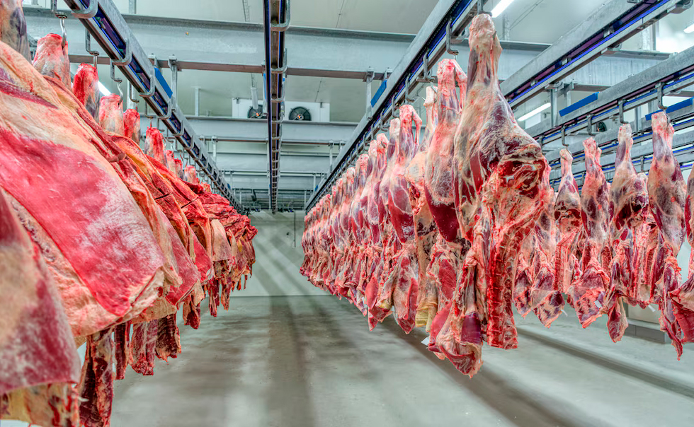 Una alianza estratégica impulsa la transformación logística de la carne argentina en el exterior