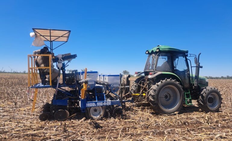 Conoce los avances de la Red de Cultivares de Soja