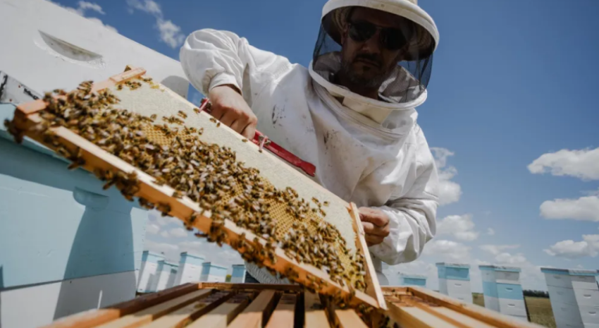 Beltrán celebra la Semana de la Miel con un encuentro de productores apícolas