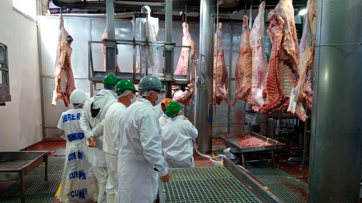 Duras críticas al rumbo de la desregulación en la industria de la carne