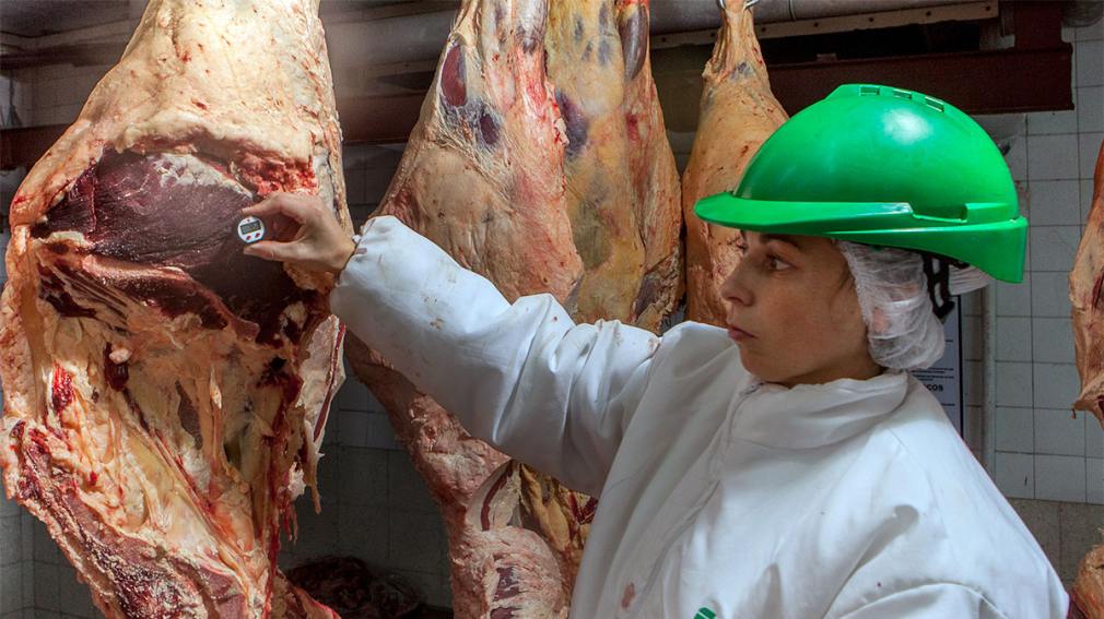 Luego de 22 años, el SENASA autorizó el ingreso de carne con hueso a la Patagonia desde otras zonas del país