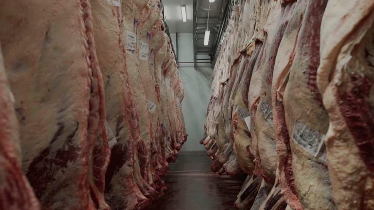 El Gobierno prorrogó por otros 60 días el análisis sobre el ingreso de carne con hueso a la Patagonia