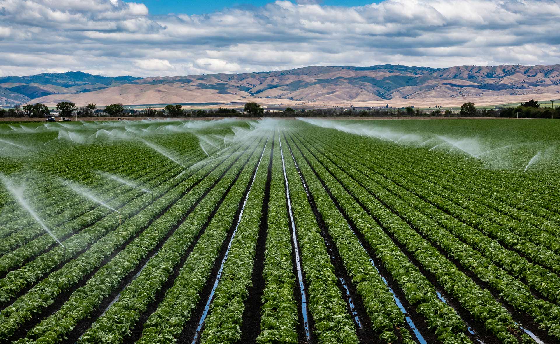 Se realizará en Santiago la 16º Jornada Internacional Fertirriego y Uso Eficiente del Agua