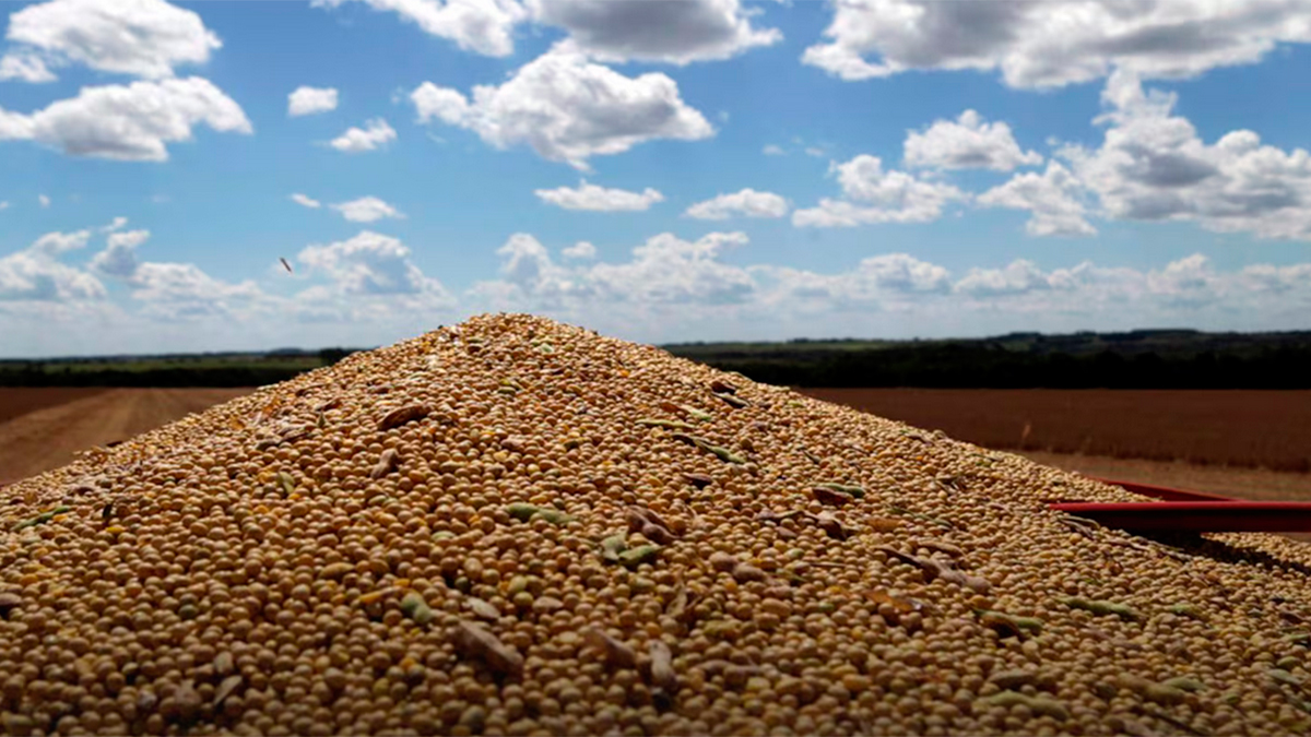 La suba de la soja impulsa expectativas en el agro santiagueño: cerró a $330.000 la tonelada en Rosario