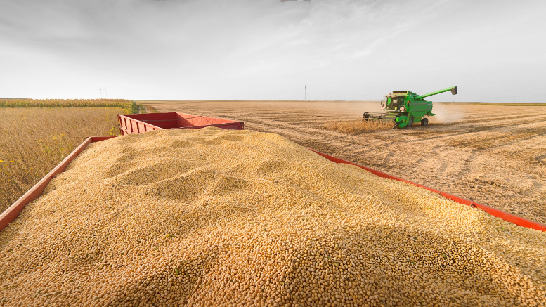 La soja anotó su tercera rueda consecutiva de suba en Chicago y cerró a $340 mil por tonelada en Argentina
