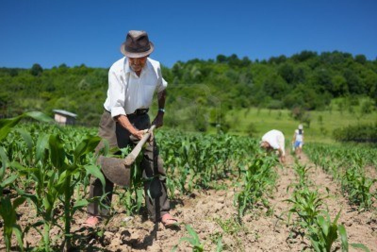 Preocupación en el sector rural: solicitan extender el régimen que facilita el empleo formal y el acceso a beneficios sociales