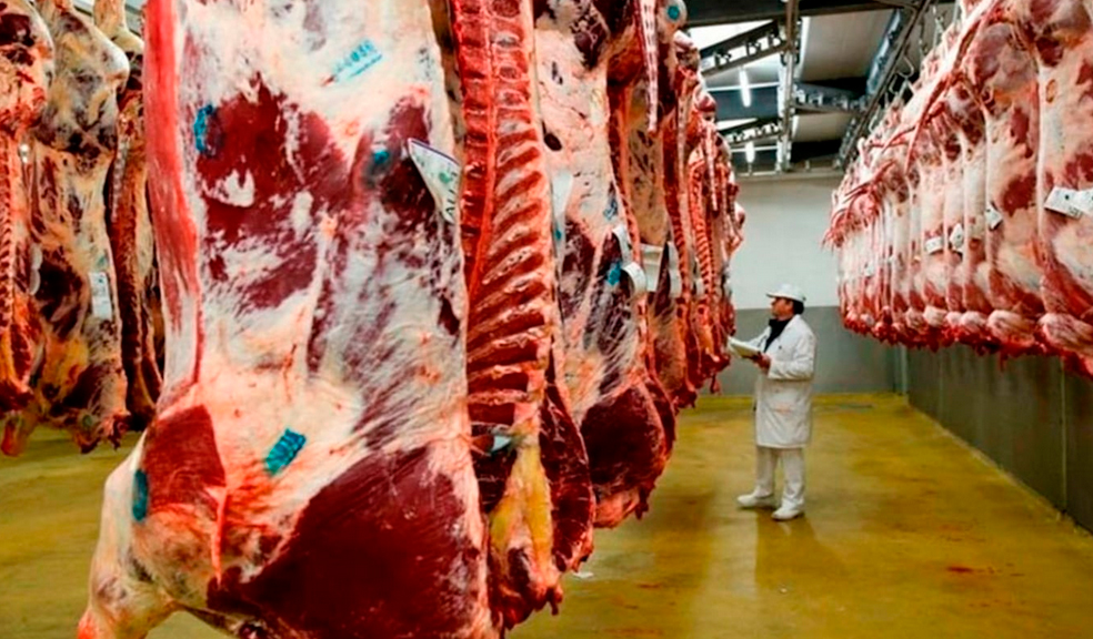 Las exportaciones argentinas de carne son las que ganaron más valor, pero con una caída del volumen embarcado