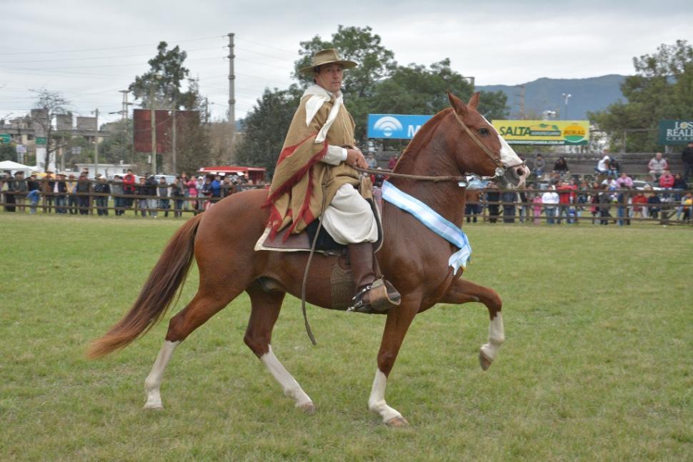 Santiago Productivo: realizarán la primera Clínica de Caballo Peruano de Paso