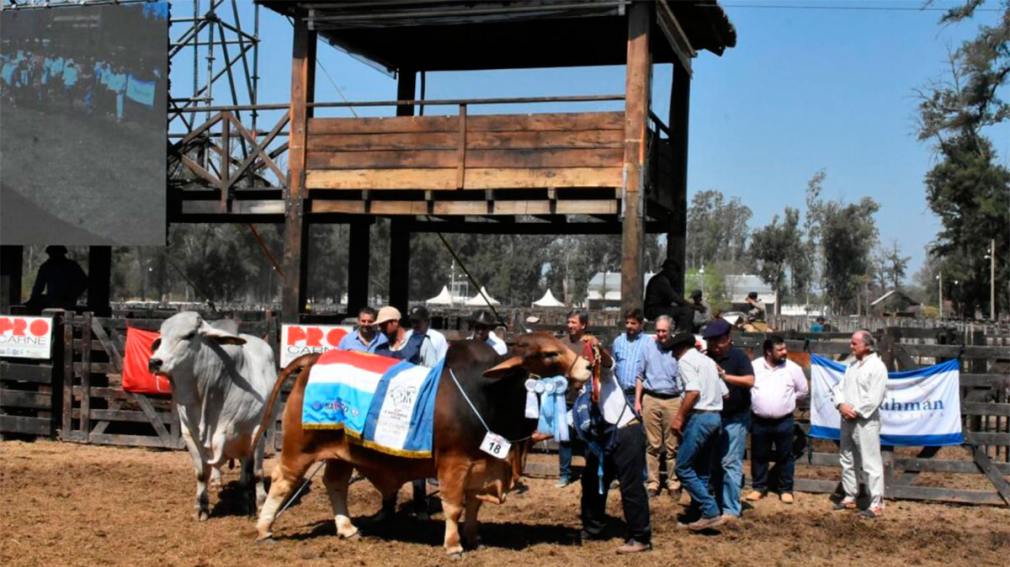 El “Santiago Productivo” viene con raíces santiagueñas y mirada al futuro