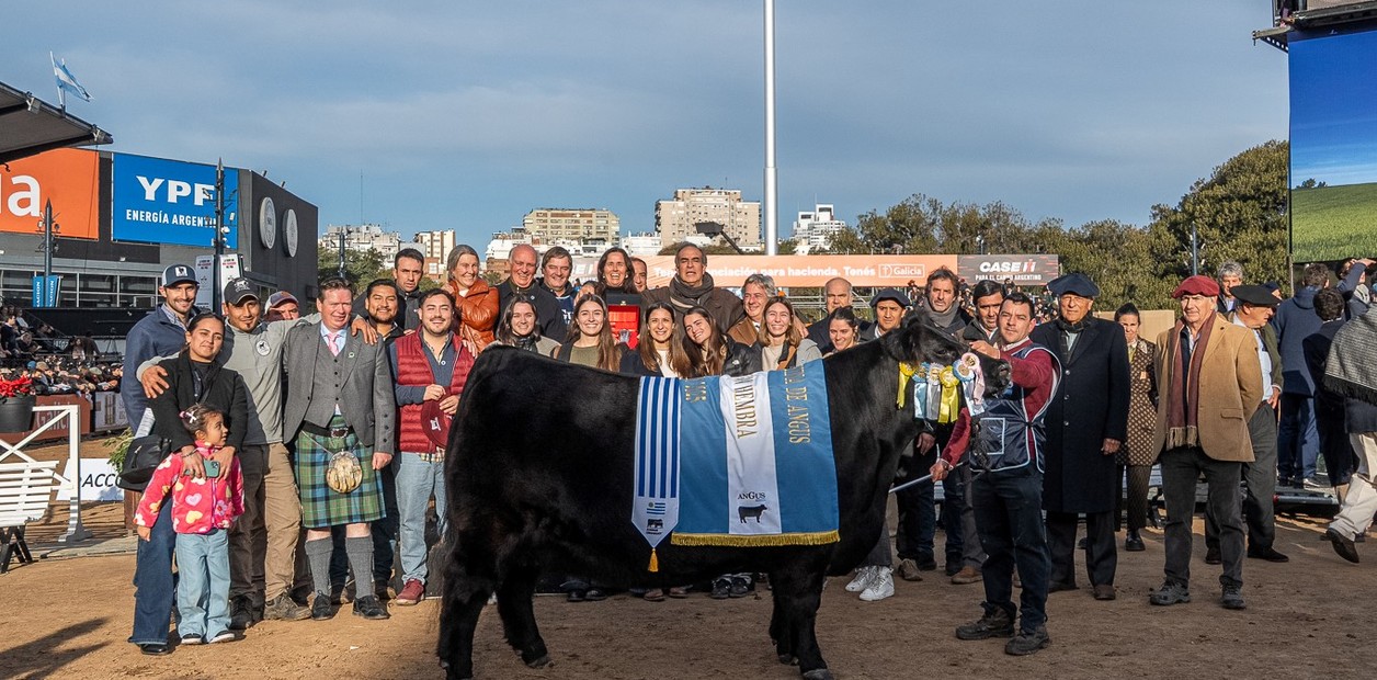 Don Abraham 308 repite el título y se consagra como Gran Campeona en la Expo Rural 2025