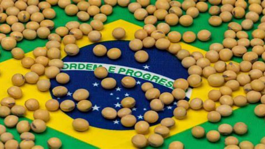 Con la soja como líder, la agroexportación de Brasil alcanzó los 82.000 millones de dólares