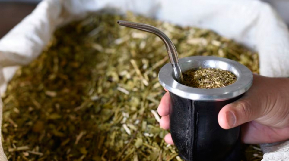 La yerba mate creció más de un 16% en el primer semestre del año y consolida su presencia local e internacional